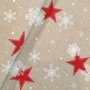 Canvas sterren Kerst